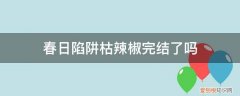 春日陷阱枯辣椒完结了吗