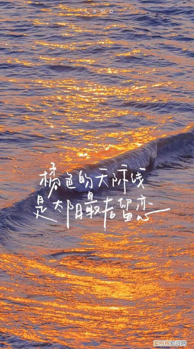爱情永远都是双向奔赴