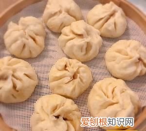 叉烧包面种怎么发，本人刚接触面点不久怎么说