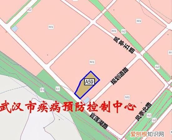 汉南区属于武汉哪个区,武汉汉南区属于哪个区