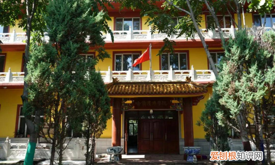 哈尔滨佛学院是大学,哈尔滨佛教大学录取分数线