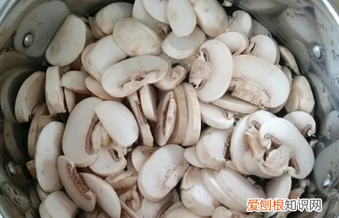 蘑菇要不要焯水，新鲜蘑菇做需要焯水