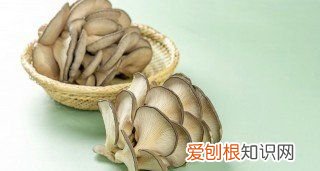 蘑菇要不要焯水，新鲜蘑菇做需要焯水