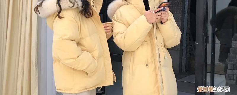 杏色羽绒服里面配什么颜色好看 杏色卫衣配黄色羽绒服好看吗