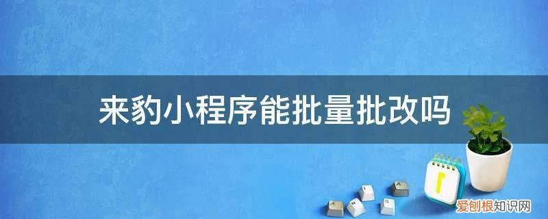 来豹小程序能批量批改吗
