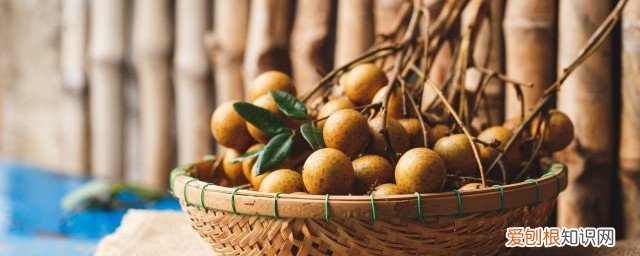 新鲜桂圆放哪保存最好 如何保存新鲜桂圆