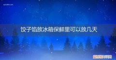 饺子馅可以在冰箱放几天 饺子馅放冰箱保鲜里可以放几天
