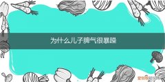 为什么儿子脾气很暴躁25岁 为什么儿子脾气很暴躁