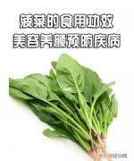 过夜的菠菜可以吃，煮熟的菠菜隔夜可以吃吗
