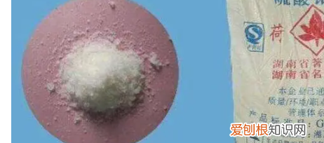 含硫酸铝铵的粉条能吃，粉条吃了对身体有害吗