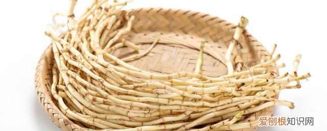 新鲜鱼腥草存放方法 新鲜鱼腥草如何存放呢
