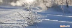 像米粒的雪叫什么雪 冬天下的雪米子叫什么