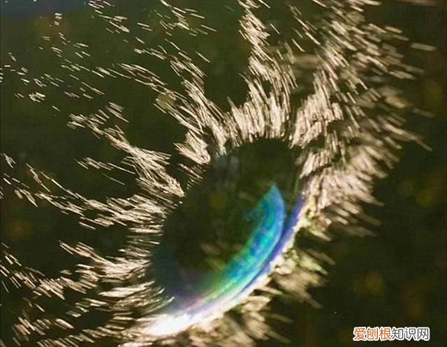 肥皂泡破裂的科学原理