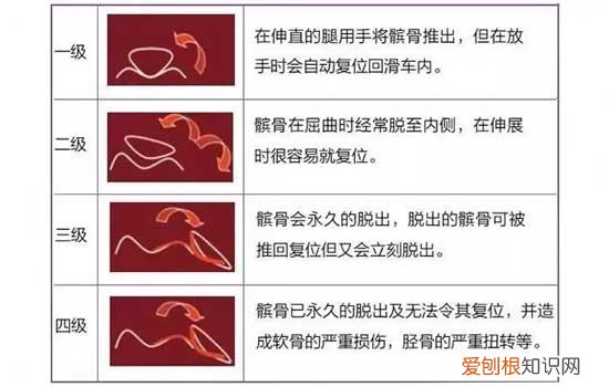 狗狗急性瘫痪 狗狗突然瘫痪不能动是怎么回事