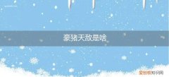 豪猪的天敌是什么? 豪猪天敌是啥