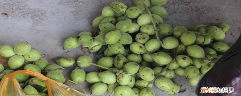 青核桃皮把手染黑了怎样去掉呢 青核桃皮把手染黑了怎样去掉