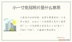 小一寸免冠近照是什么意思 小一寸免冠照片是什么意思