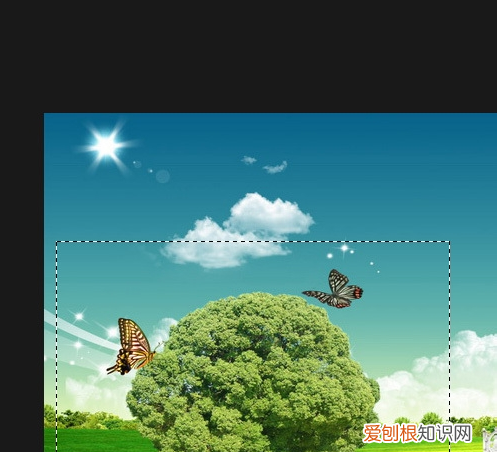 PS怎么大范围裁剪，怎样用photoshop压缩照片大小