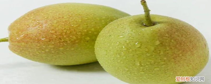 香梨怎么分公和母? 香梨怎么分公母