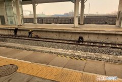 铁道上为什么要铺石子 铁路上为什么要铺石头有什么用
