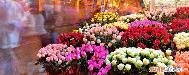 为什么过年要摆花花草草 过年为何要买花