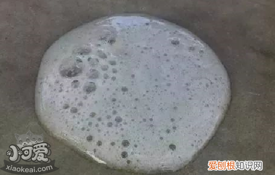 狗狗呕吐物图解 狗狗呕吐该如何解决