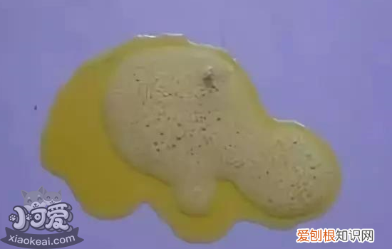 狗狗呕吐物图解 狗狗呕吐该如何解决