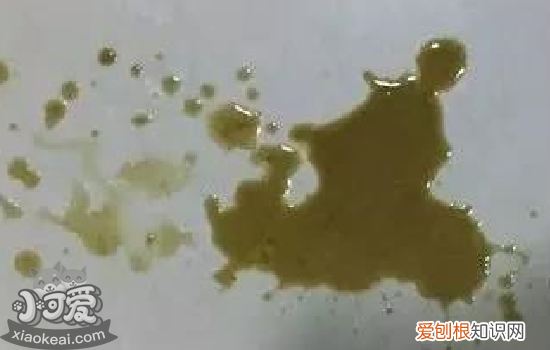 狗狗呕吐物图解 狗狗呕吐该如何解决