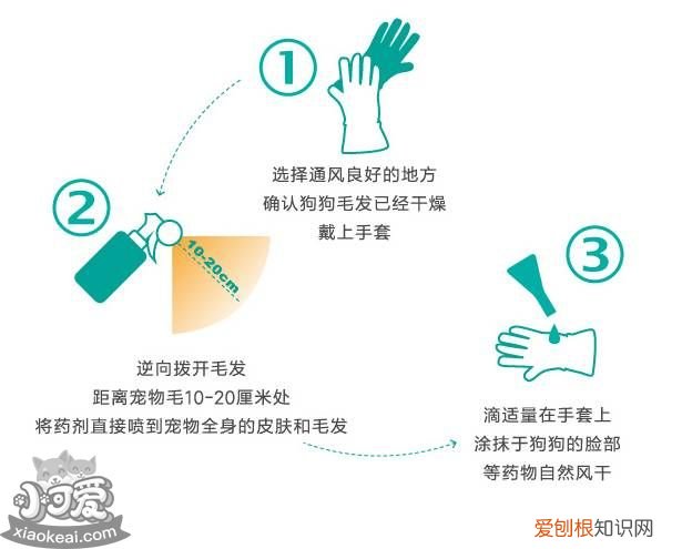 狗驱虫是什么虫？ 寄生虫对狗有什么危害