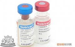 狗狗疫苗品牌 狗狗疫苗可以自己打吗