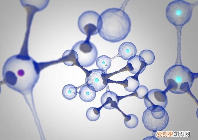 为什么石头里面有贝壳 石头和贝壳有什么区别
