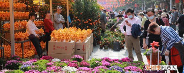 广州过年门口摆什么好 过年大门口摆什么植物