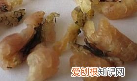 哈蟆油，蛤蟆油是蛤蟆的哪个部位
