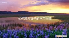 如何激发孩子的学习兴趣与潜能 如何激发孩子的学习兴趣