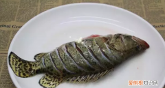 清蒸桂鱼要蒸多长时间，清蒸桂鱼蒸箱要蒸多长时间
