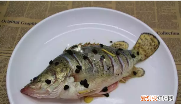 清蒸桂鱼要蒸多长时间，清蒸桂鱼蒸箱要蒸多长时间