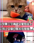 揭秘女明星背后的金主