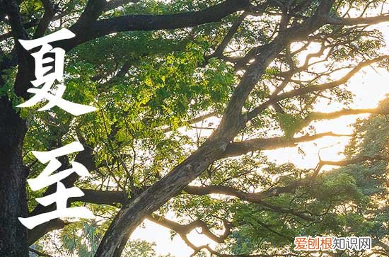 2023年夏至日几天后就入伏了