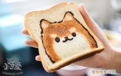 柴犬咳嗽怎么办 这些疾病求救信号你知道吗