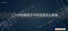 二十多的男孩子不听话怎么才能把他们教育好呢? 二十岁的男孩子不听话该怎么教育