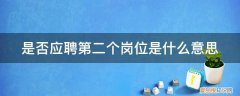两个工作岗位去哪个? 是否应聘第二个岗位是什么意思