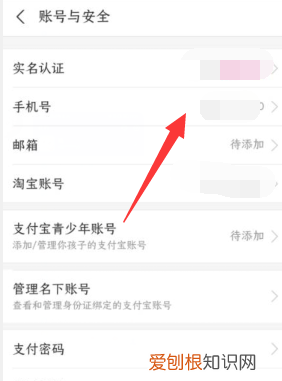 支付宝解绑手机号要如何实现,支付宝手机号如何解绑手机号