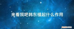 来看我吧韩东植起什么作用