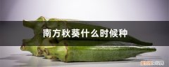 秋葵在南方什么时候播种 南方秋葵什么时候种