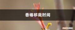 香椿苗几月份移栽最合适 香椿移栽时间