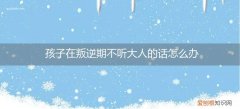 孩子叛逆不愿意与大人交流怎么办 孩子在叛逆期不听大人的话怎么办