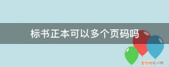 标书正本可以多个页码吗英文 标书正本可以多个页码吗