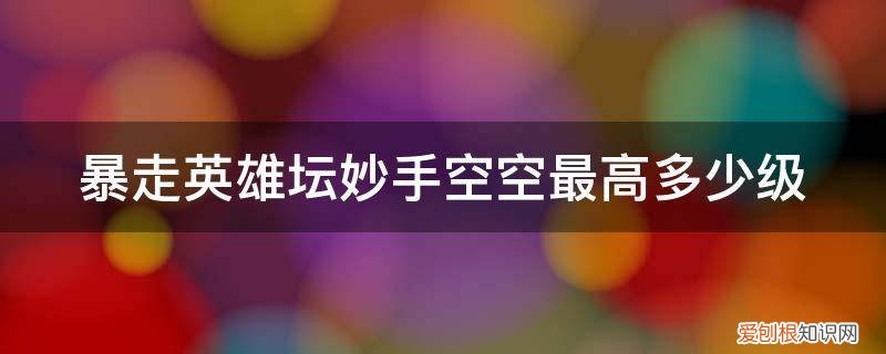 暴走英雄坛妙手空空等级 暴走英雄坛妙手空空最高多少级
