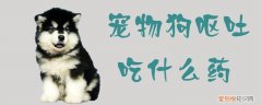 宠物狗呕吐吃什么药管用 宠物狗呕吐吃什么药