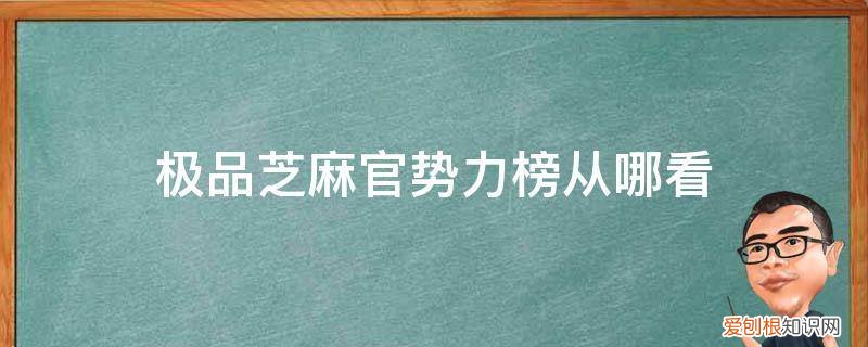 极品芝麻官个人势力榜 极品芝麻官势力榜从哪看